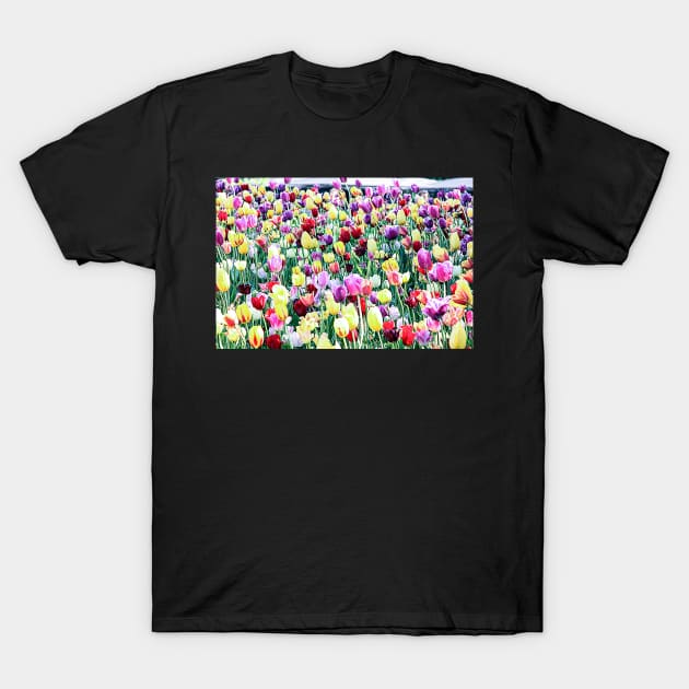 Tulips T-Shirt by dw-fotografie